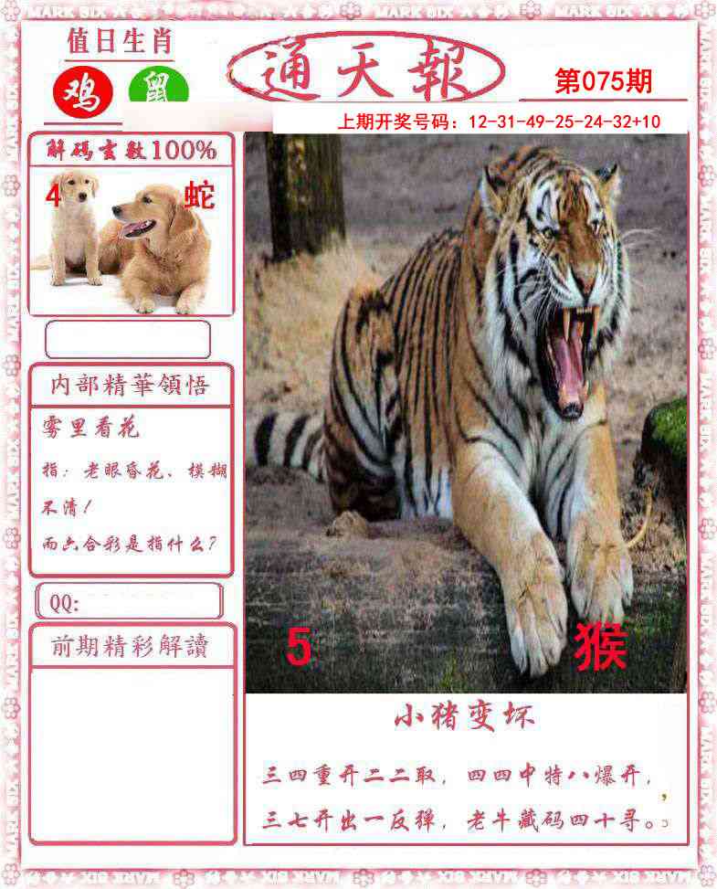 075期正版通天报[图]